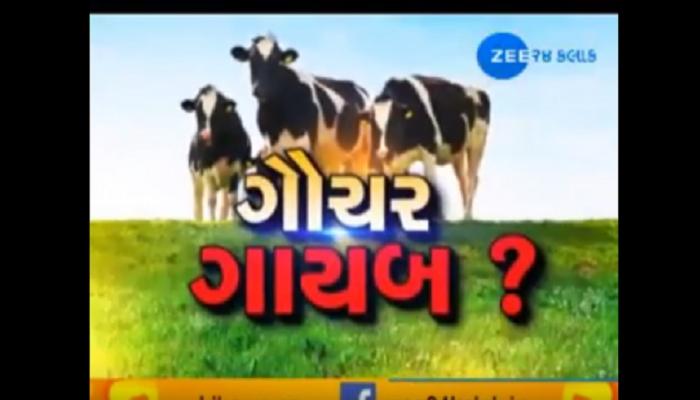 અહો આશ્ચર્યમ! છેલ્લા બે વર્ષમાં રાજ્યના 129 ગામોમાં ગૌચર ગાયબ અહો આશ્ચર્યમ! છેલ્લા બે વર્ષમાં રાજ્યના 129 ગામોમાં ગૌચર ગાયબ