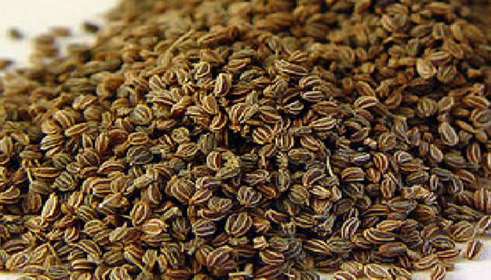 Syria સંકટથી જીરૂ થયું મોંઘું, crude અને gold ના ભાવમાં લાગી આગ Syria સંકટથી જીરૂ થયું મોંઘું, crude અને gold ના ભાવમાં લાગી આગ