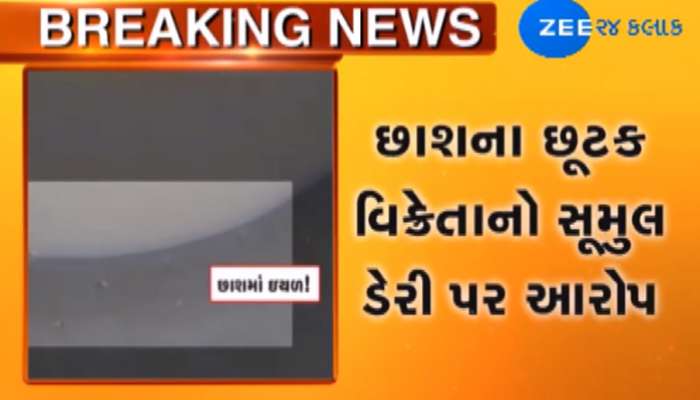 સુરત: છાશના શોખીનો... આ VIDEO જોઈને હચમચી જશો સુરત: છાશના શોખીનો... આ VIDEO જોઈને હચમચી જશો