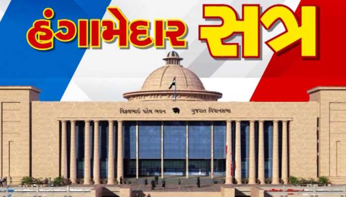 વિધાનસભા બે દિવસીય સત્ર, કોંગ્રેસનો હંગામો છ વિધેયકની ચર્ચા થશે વિધાનસભા બે દિવસીય સત્ર, કોંગ્રેસનો હંગામો છ વિધેયકની ચર્ચા થશે