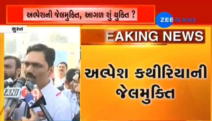 ગબ્બર ઈઝ બેક : જેલમુક્ત અલ્પેશ કથીરિયાને લઈને સંકલ્પ યાત્રા નીકળી ગબ્બર ઈઝ બેક : જેલમુક્ત અલ્પેશ કથીરિયાને લઈને સંકલ્પ યાત્રા નીકળી