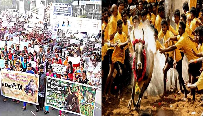 ஜல்லிக்கட்டு: மதுரையில் மாணவ, மாணவிகள் போராட்டம் ஜல்லிக்கட்டு: மதுரையில் மாணவ, மாணவிகள் போராட்டம்
