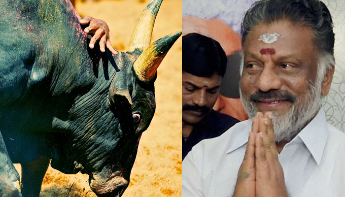 ஜல்லிக்கட்டு இனி தடை இல்லை -முதல்வர் ஜல்லிக்கட்டு இனி தடை இல்லை -முதல்வர்