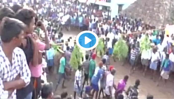 திருச்சியில் நடைபெற்ற ஜல்லிக்கட்டு வீடியோ!! திருச்சியில் நடைபெற்ற ஜல்லிக்கட்டு வீடியோ!!