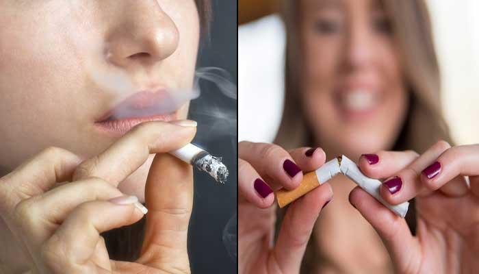 இன்று புகையிலை தினம்: புகையிலை பற்றி அறிவோம்!! இன்று புகையிலை தினம்: புகையிலை பற்றி அறிவோம்!!