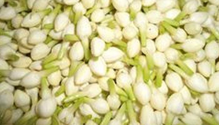 மல்லிகையின் மகத்தான பயன்கள்! மல்லிகையின் மகத்தான பயன்கள்!