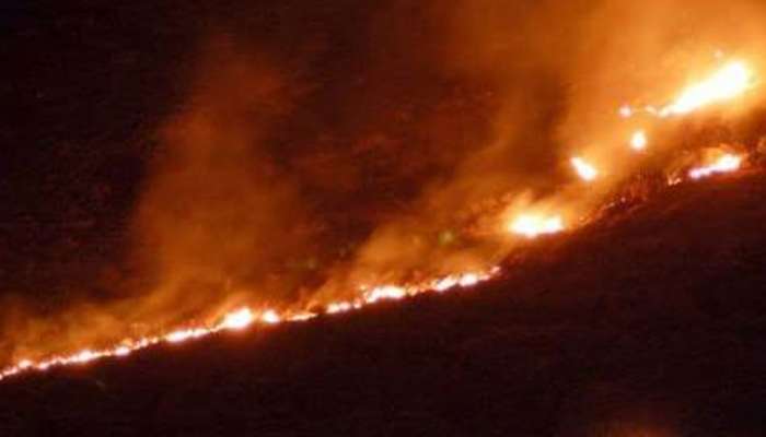 குரங்கணி தீவிபத்து: 4 வாரத்திற்குள் அறிக்கை தாக்கல் செய்ய உத்தரவு! குரங்கணி தீவிபத்து: 4 வாரத்திற்குள் அறிக்கை தாக்கல் செய்ய உத்தரவு!